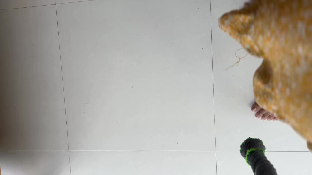 review image 2