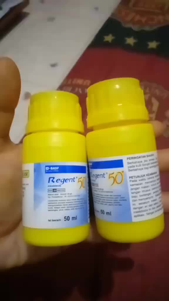 review image 9