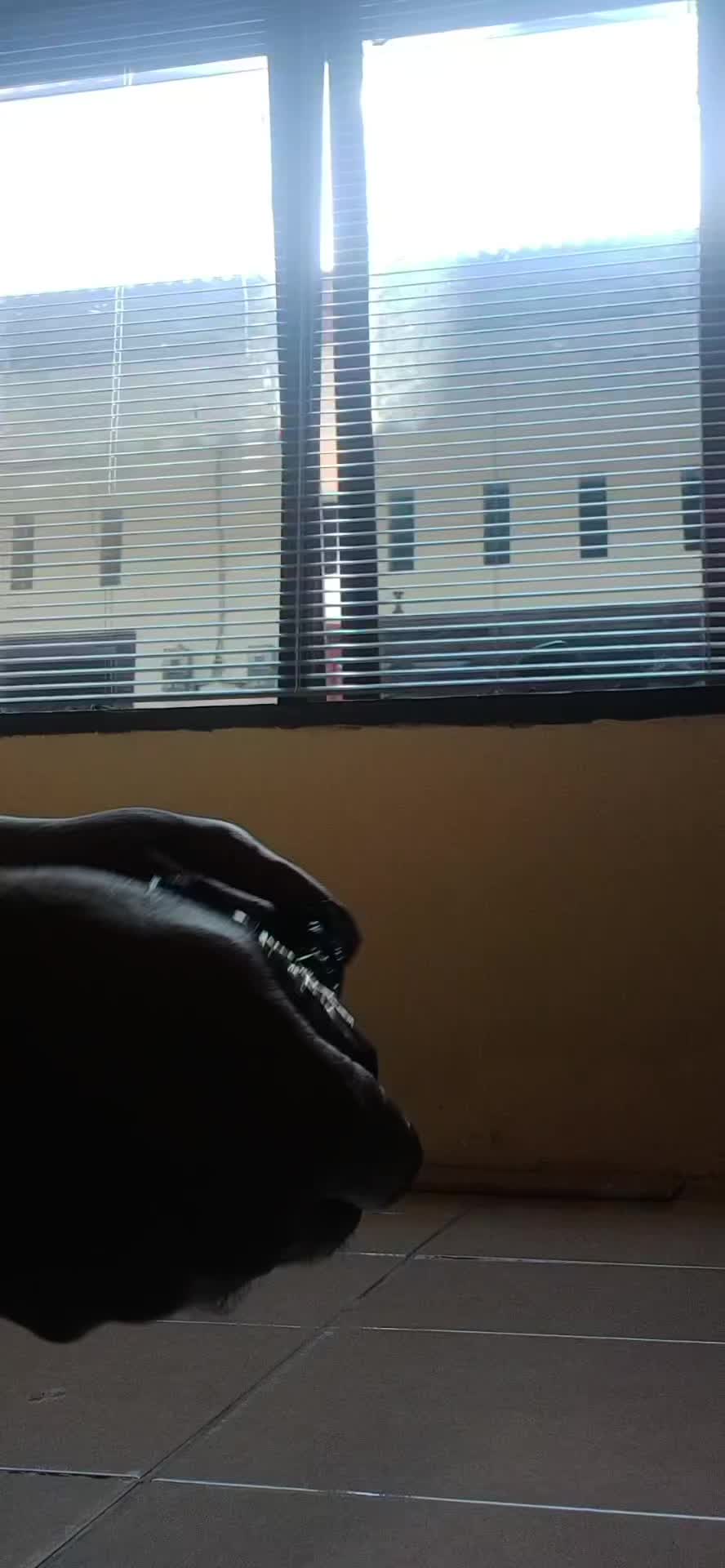 review image 8