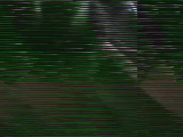 review image 5