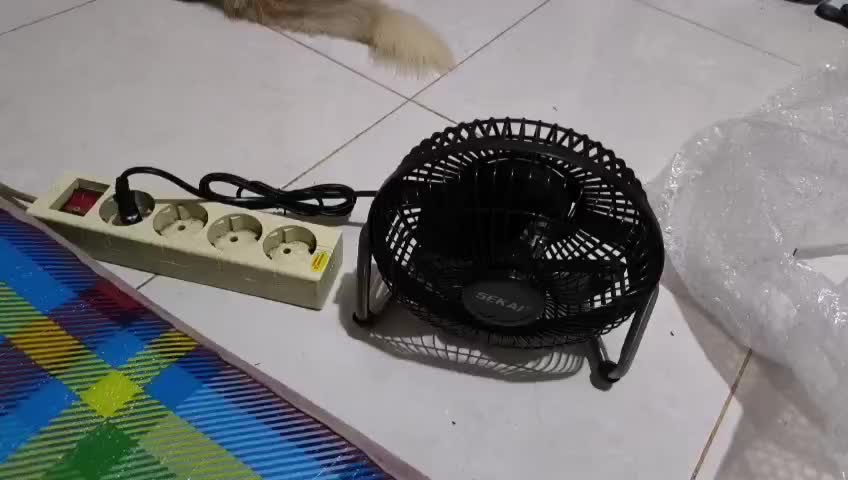 review image 1