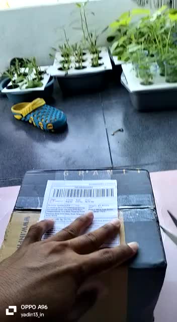 review image 0