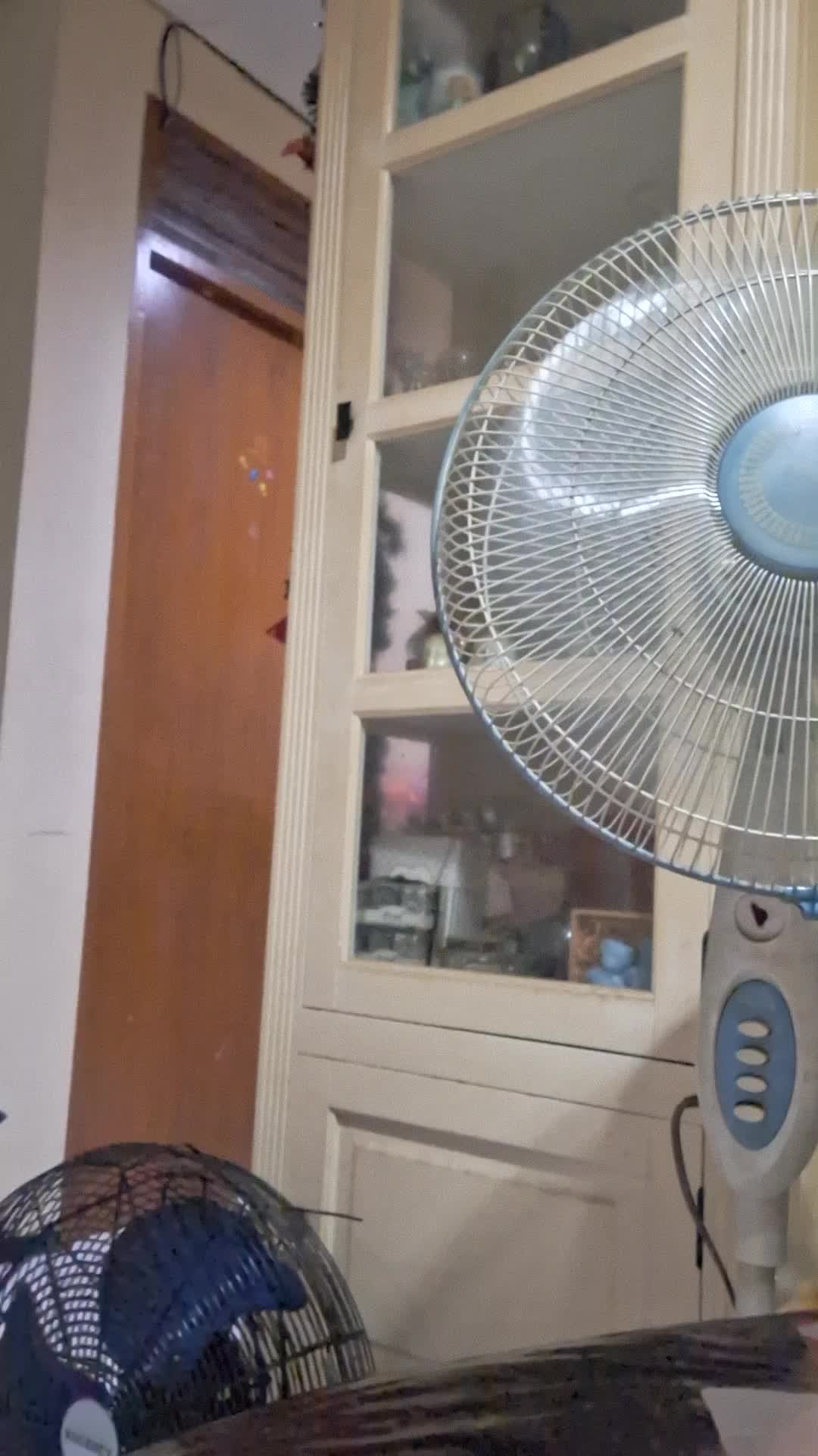 review image 8