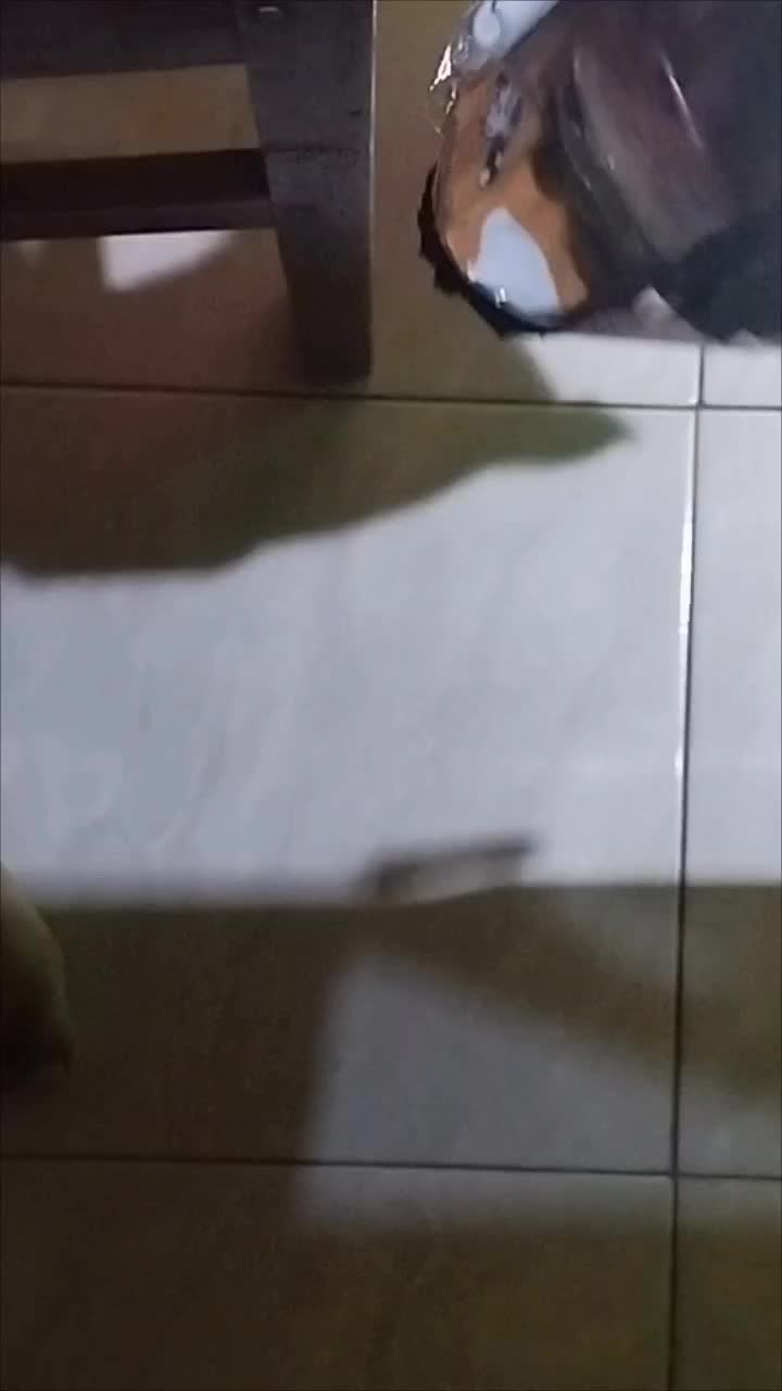 review image 5