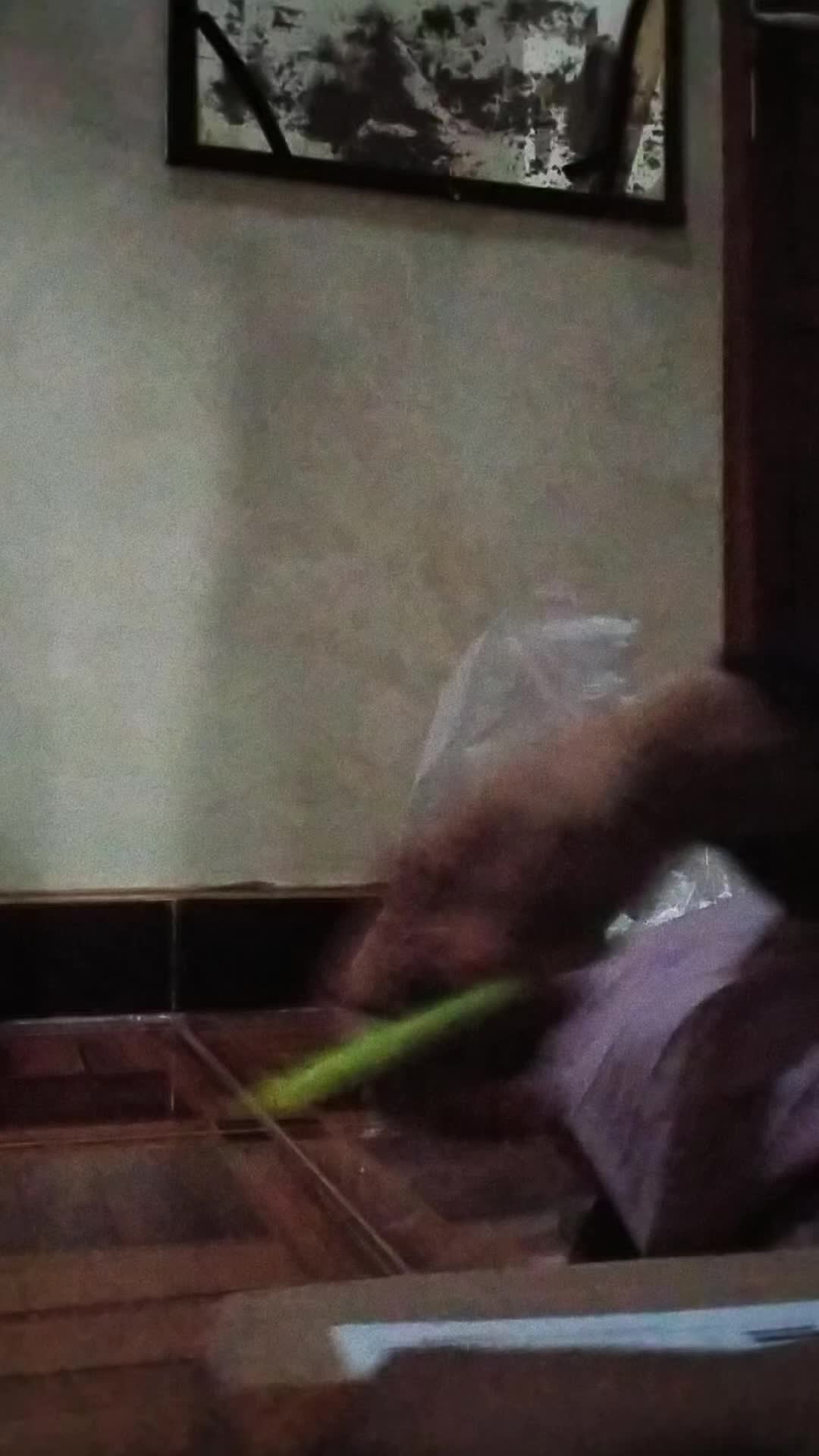 review image 2