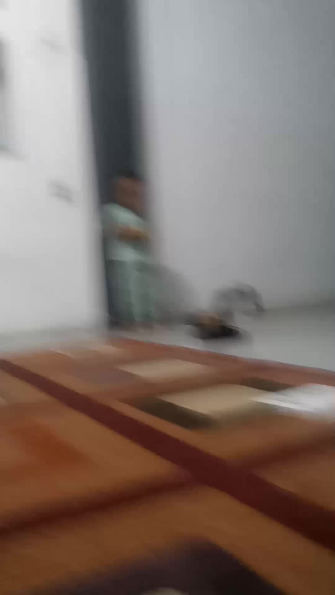 review image 3