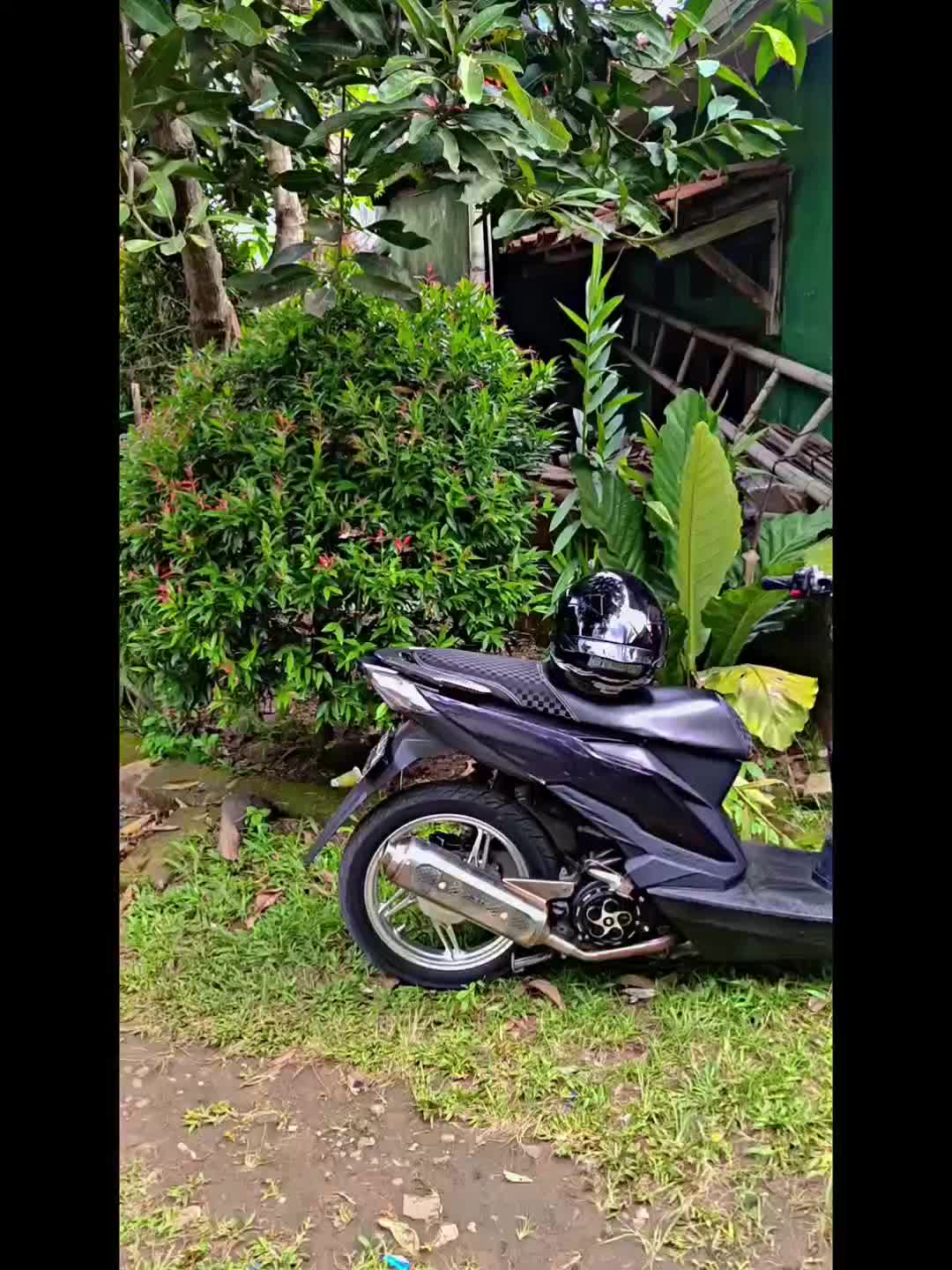 review image 0