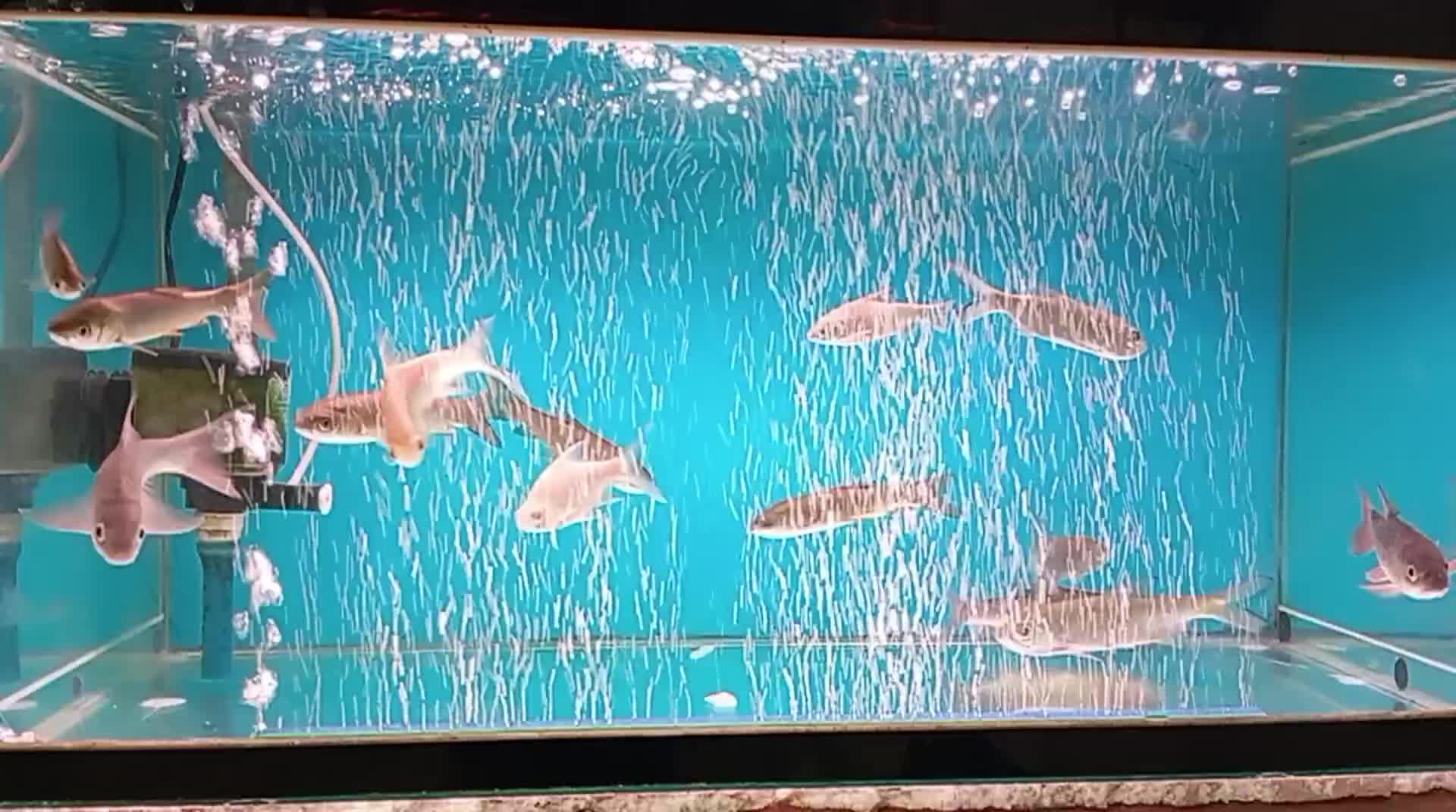 review image 6