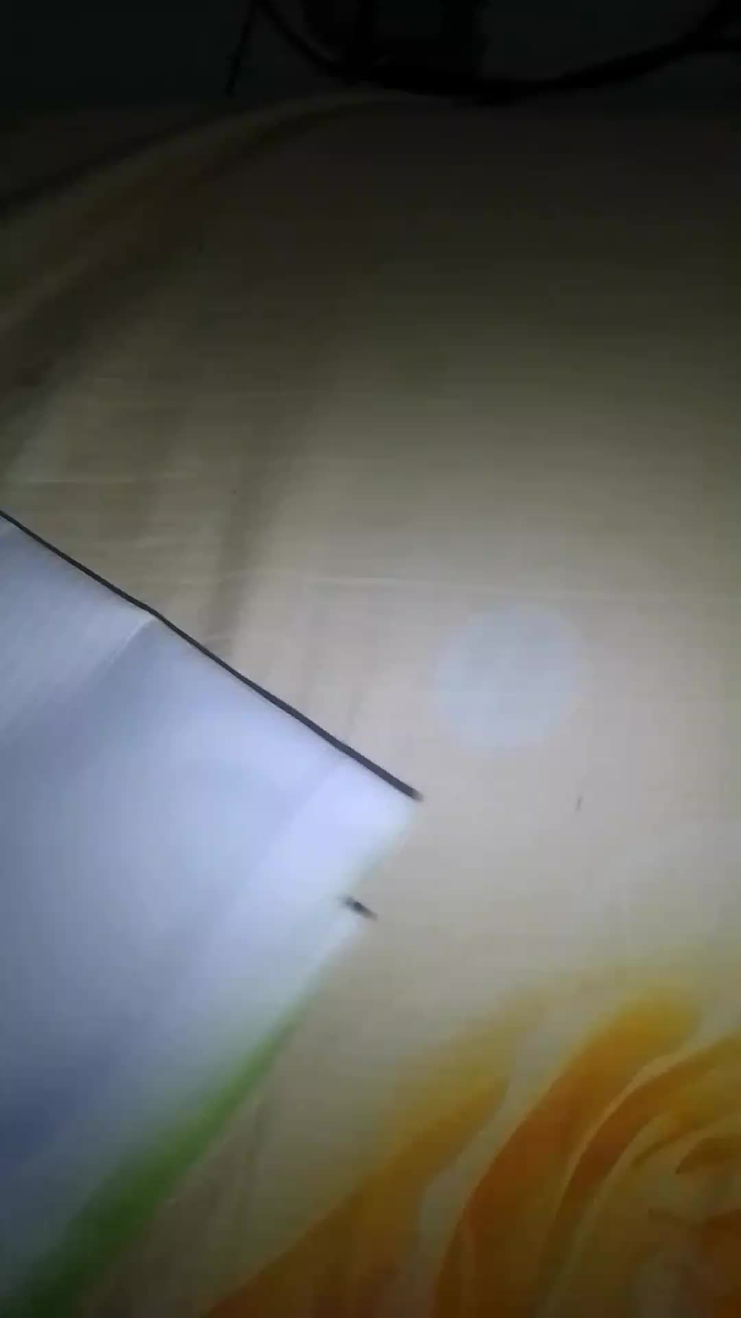review image 12