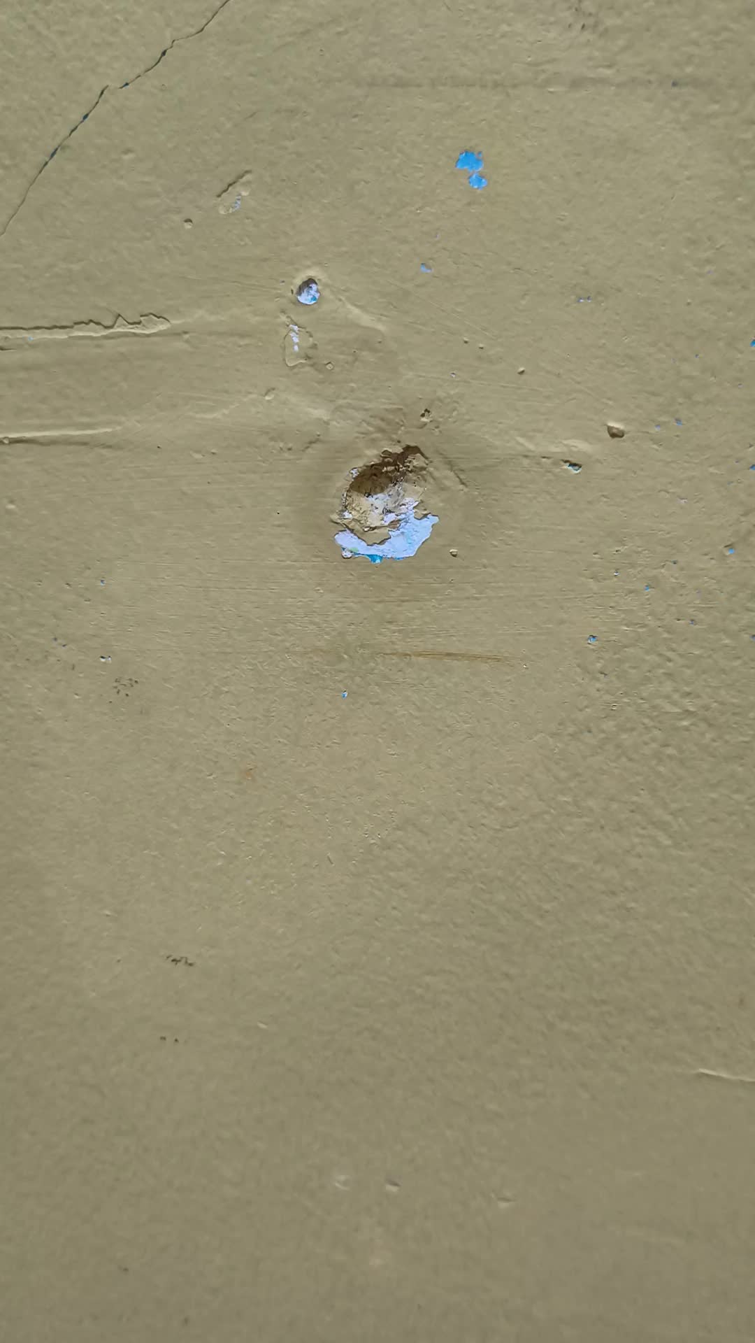 review image 2