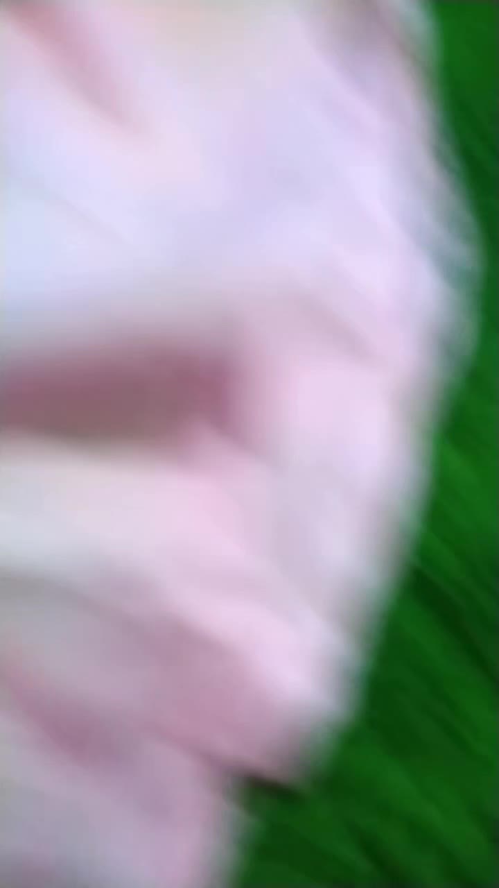 review image 6