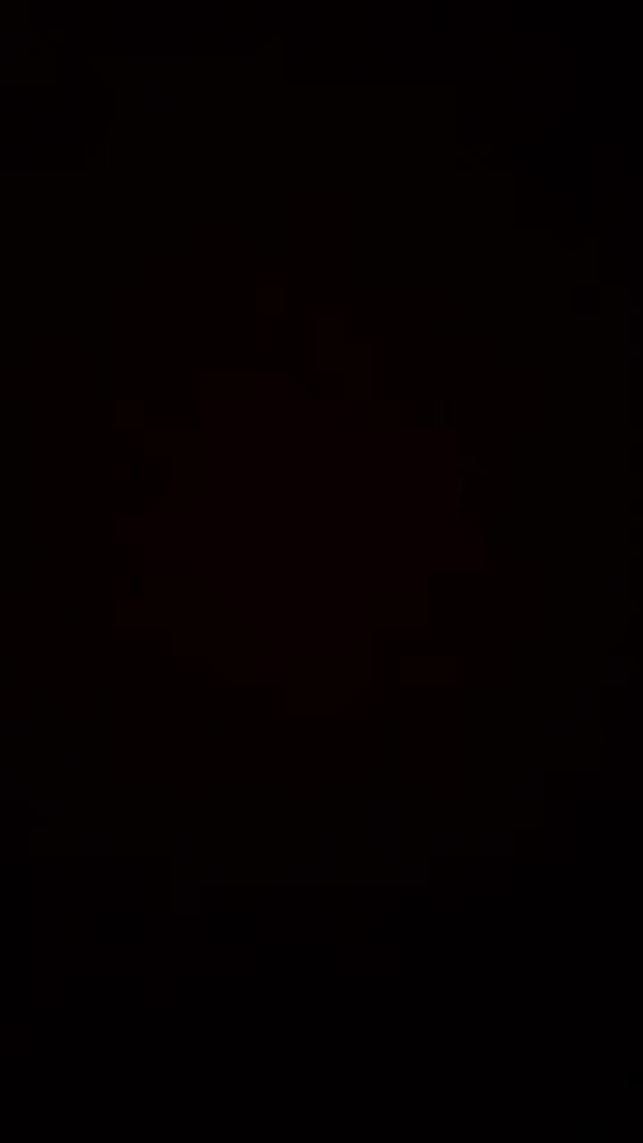 review image 11