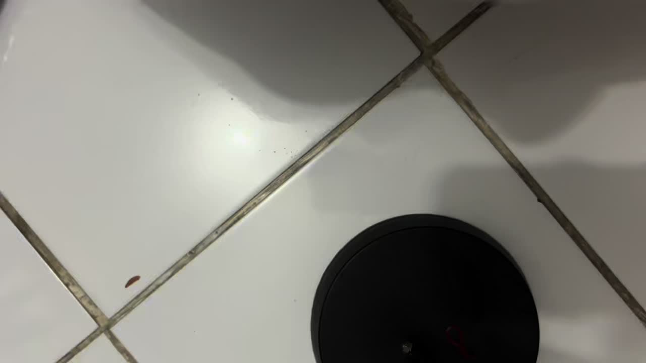 review image 13