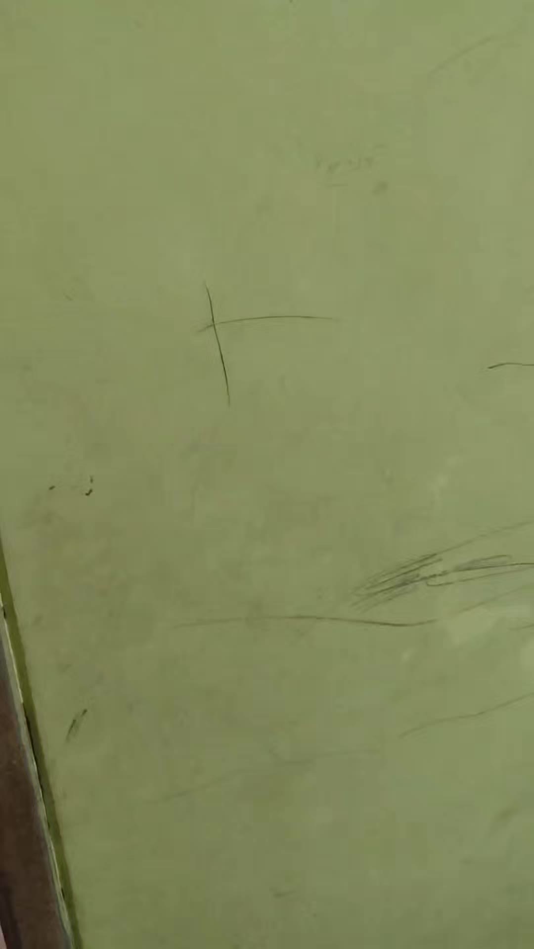review image 5