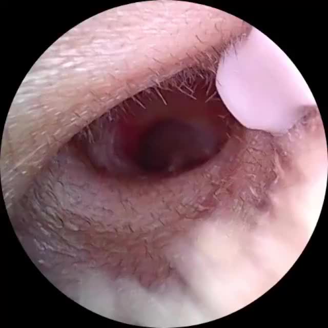 review image 4