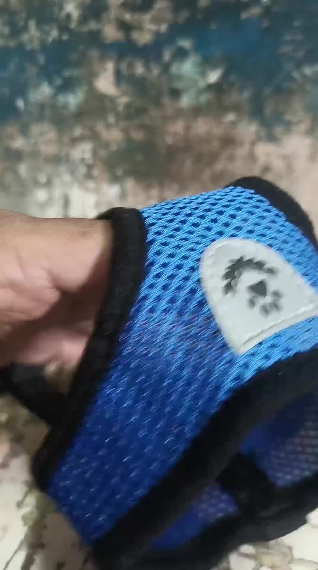 review image 11