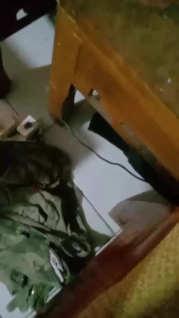 review image 3