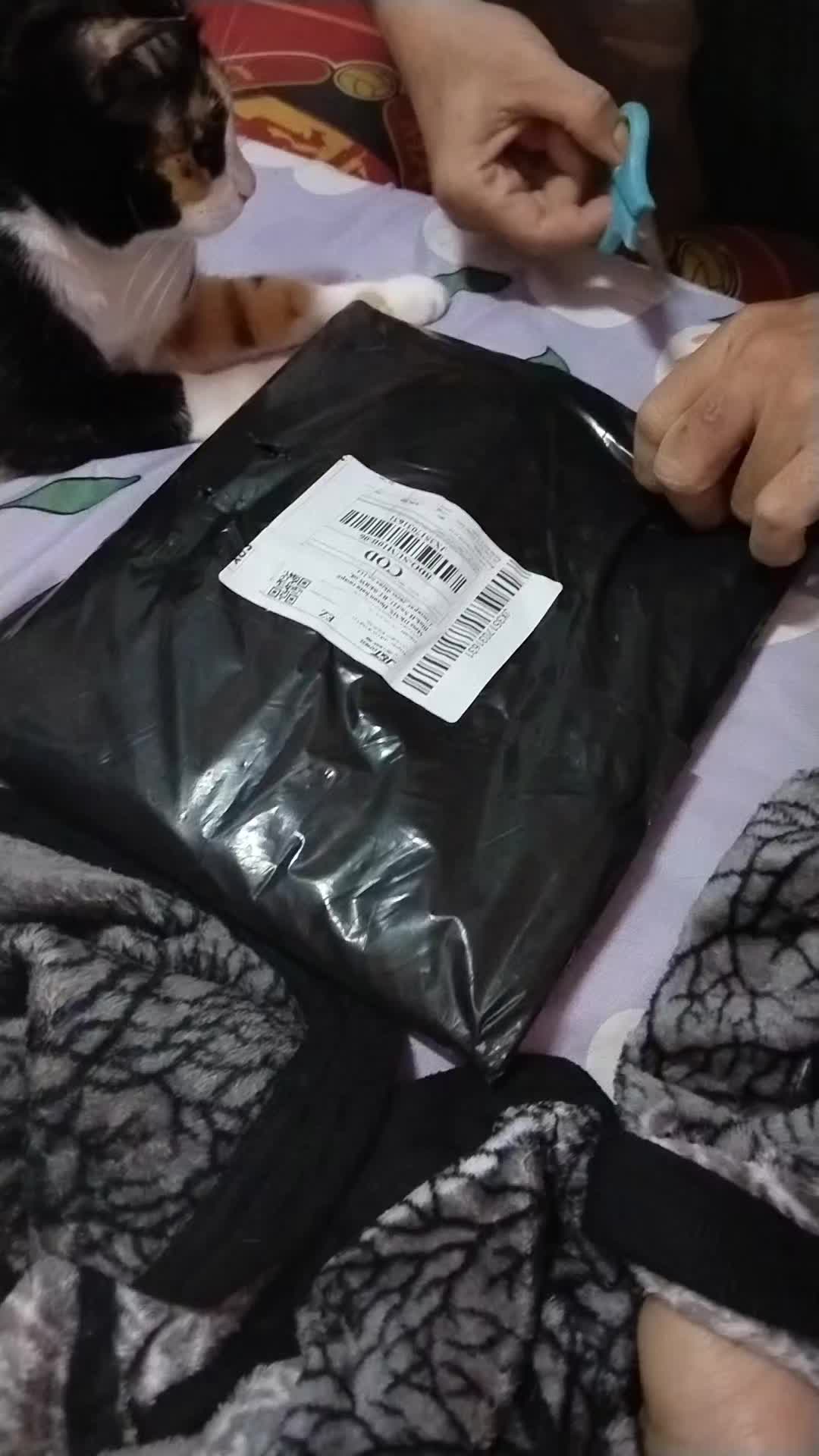 review image 8