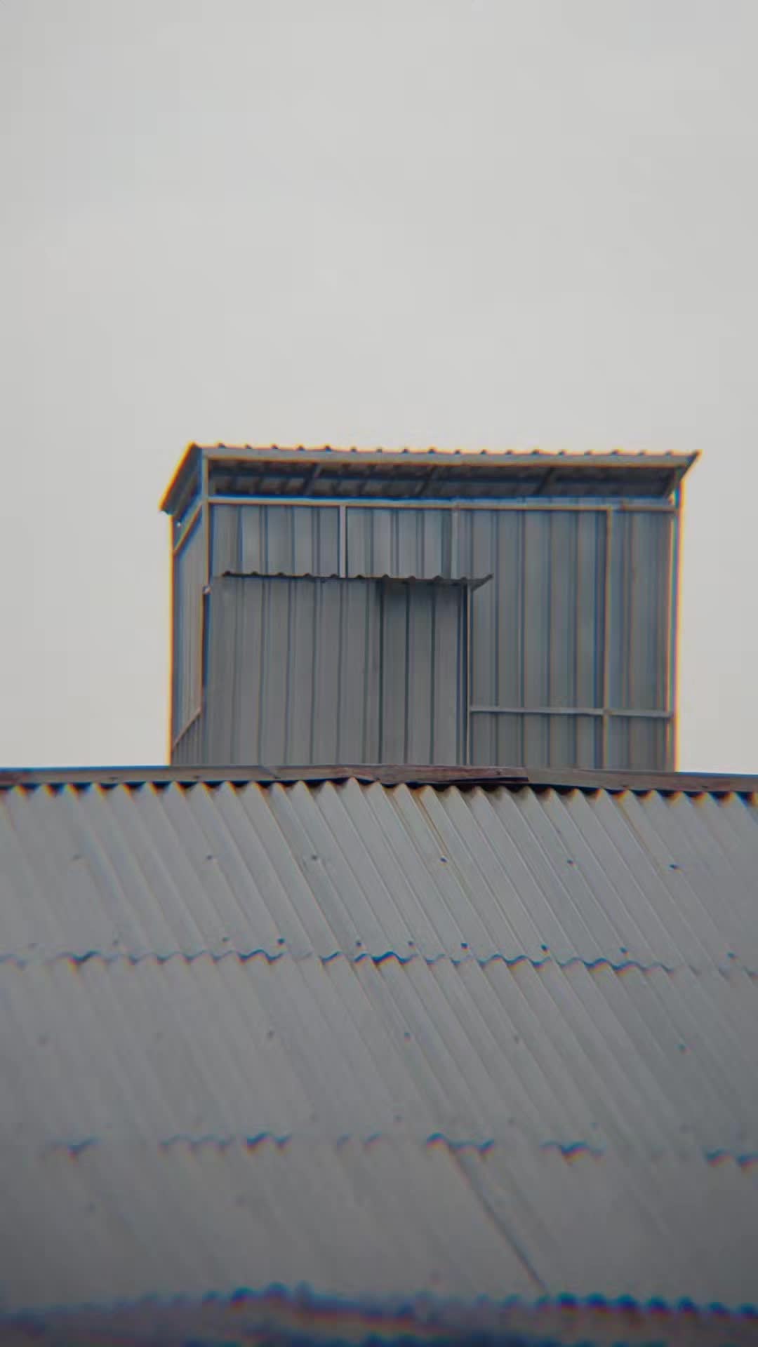 review image 2
