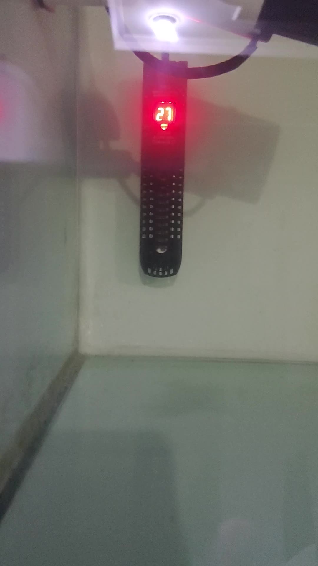 review image 2