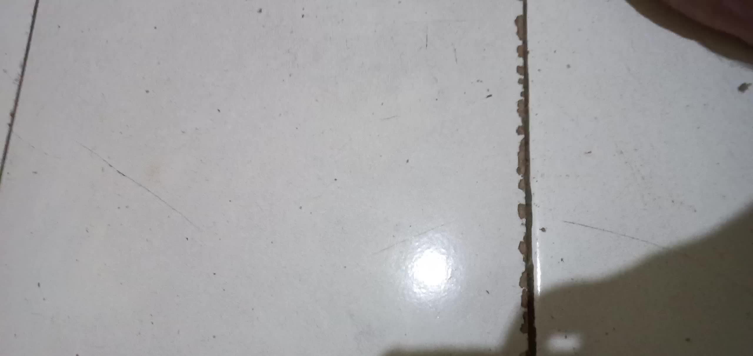 review image 4