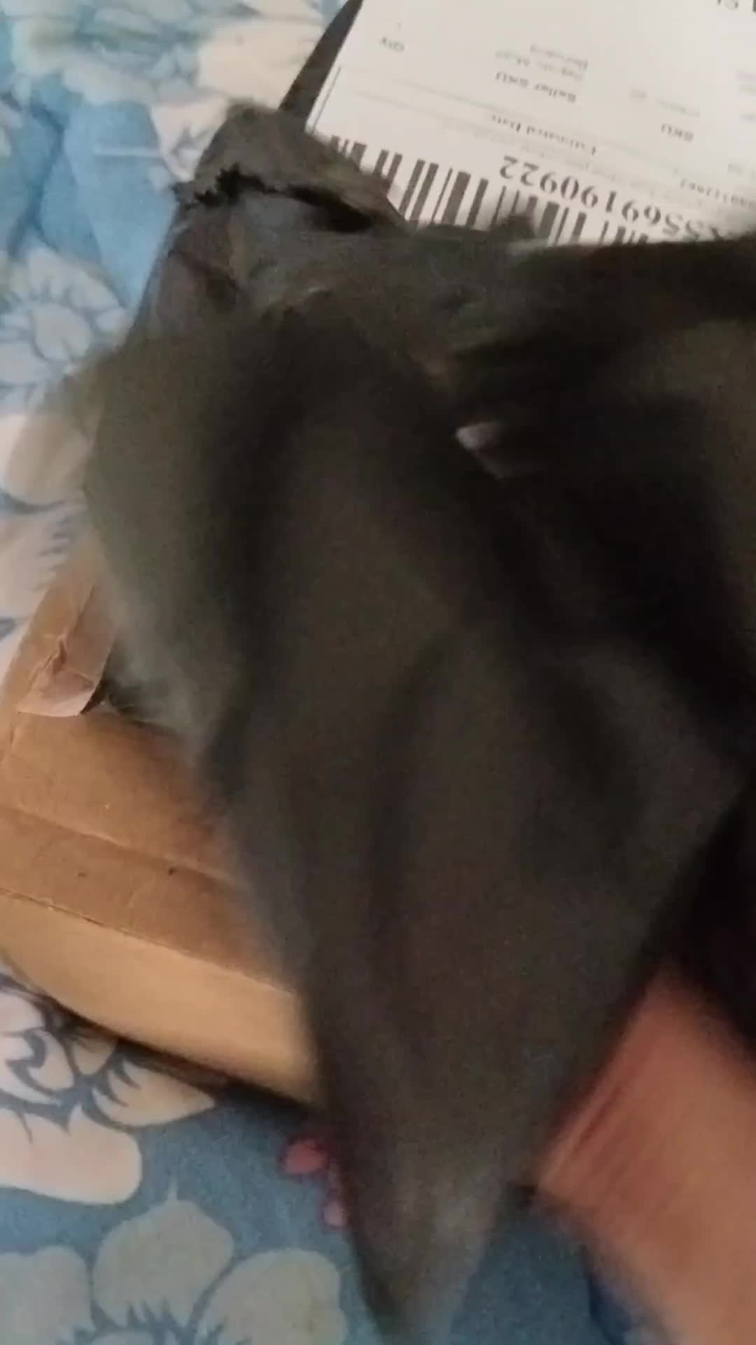 review image 2