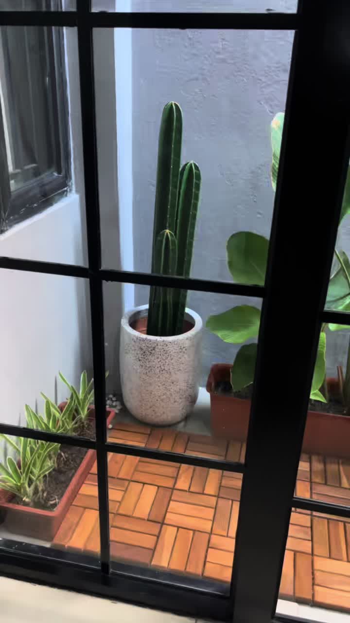 review image 4