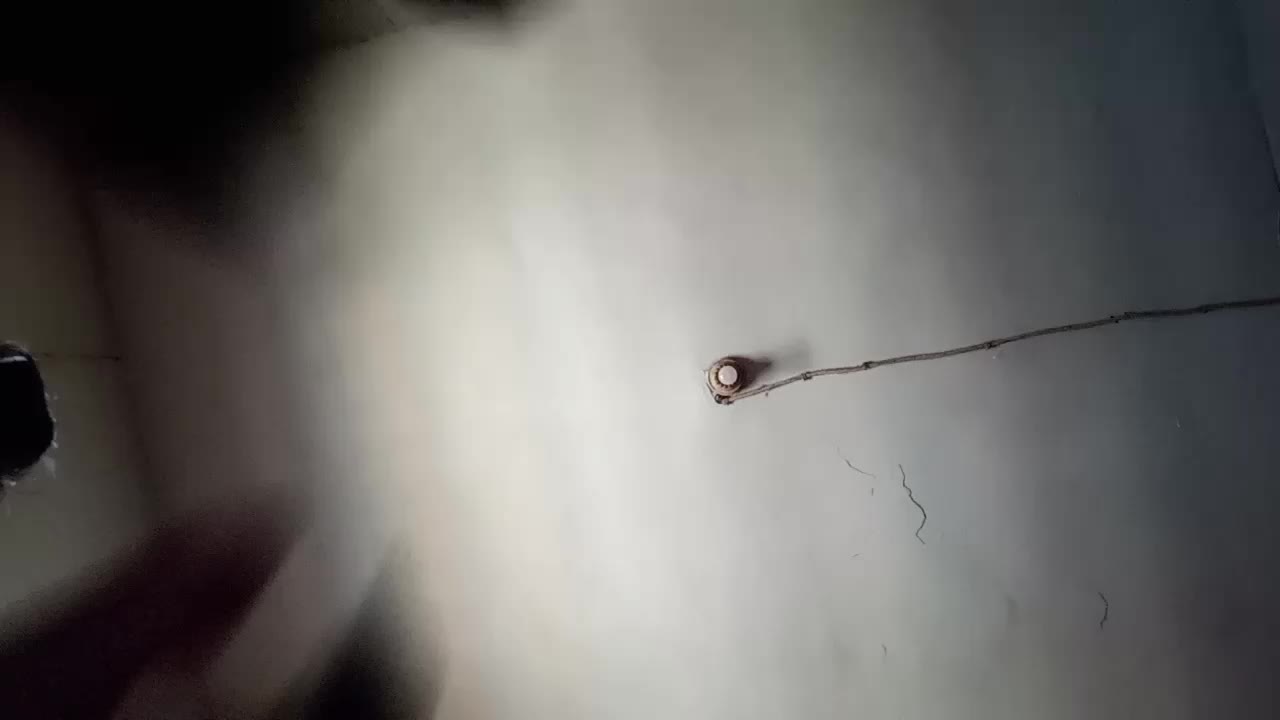 review image 8