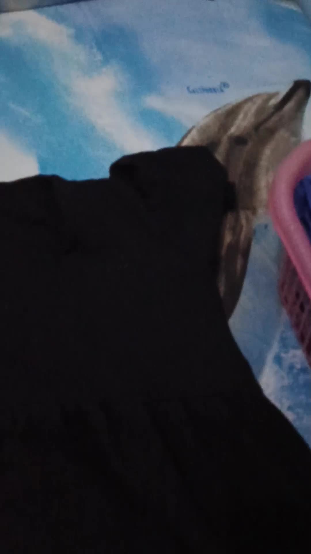 review image 9