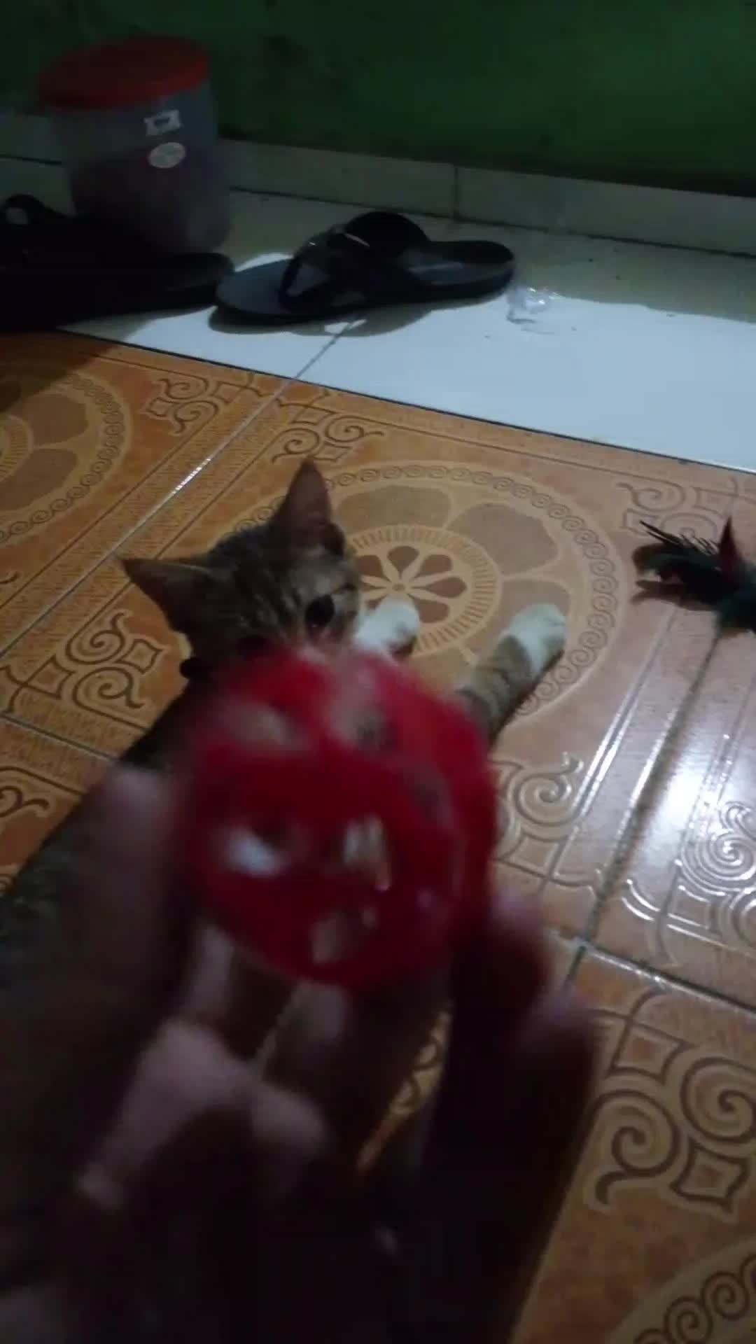review image 6