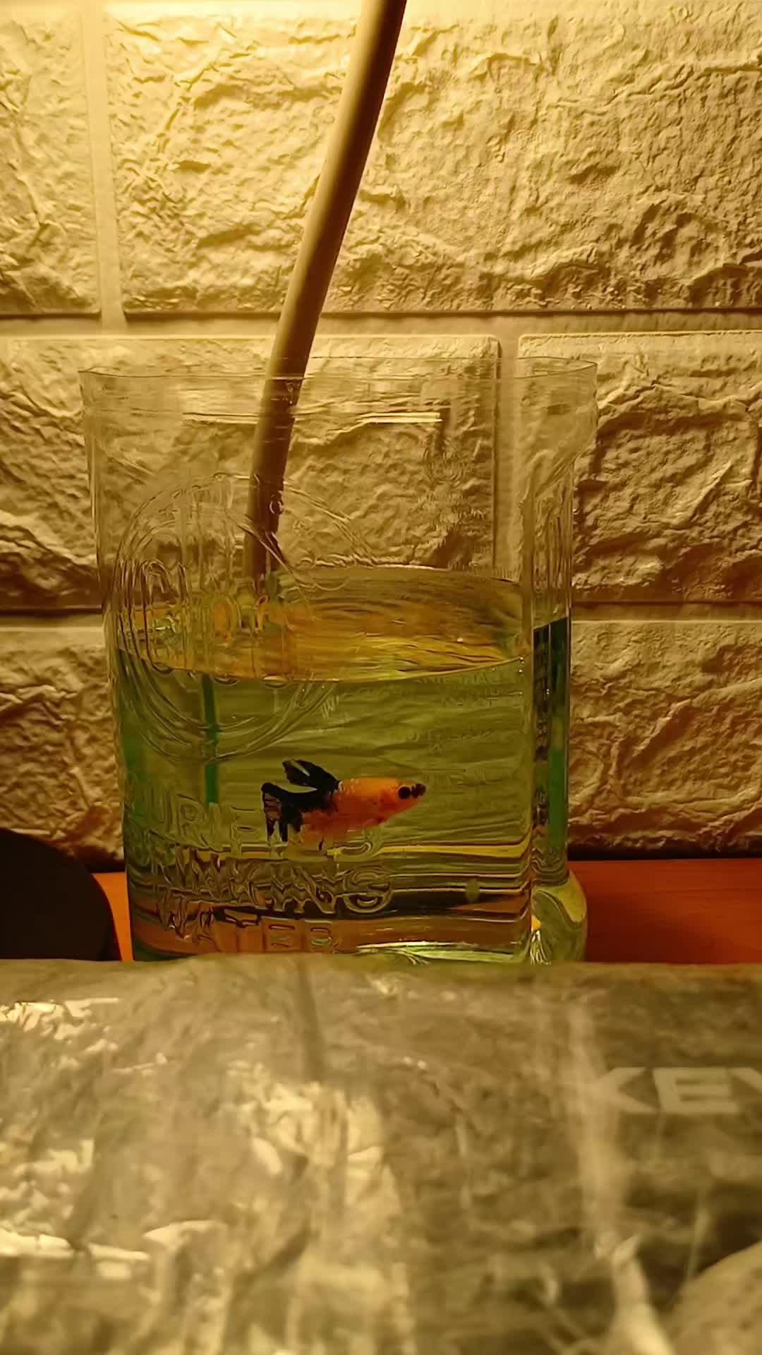 review image 6