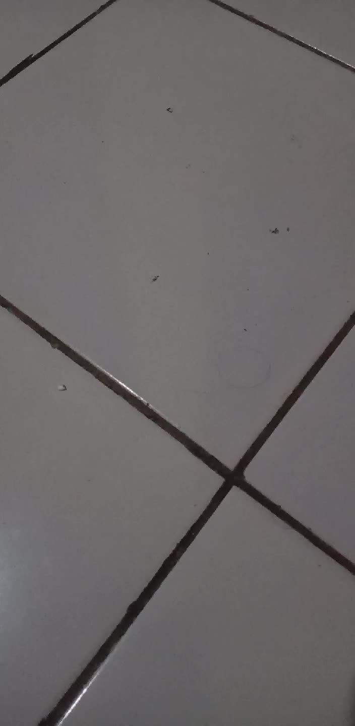 review image 3
