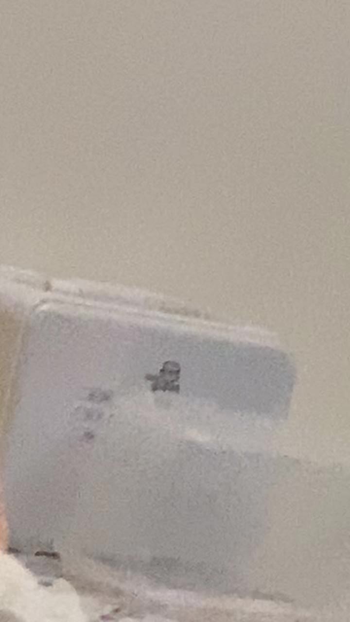 review image 2