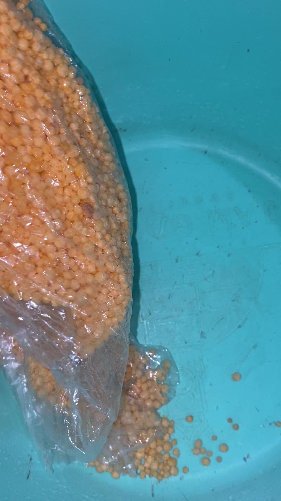 review image 3