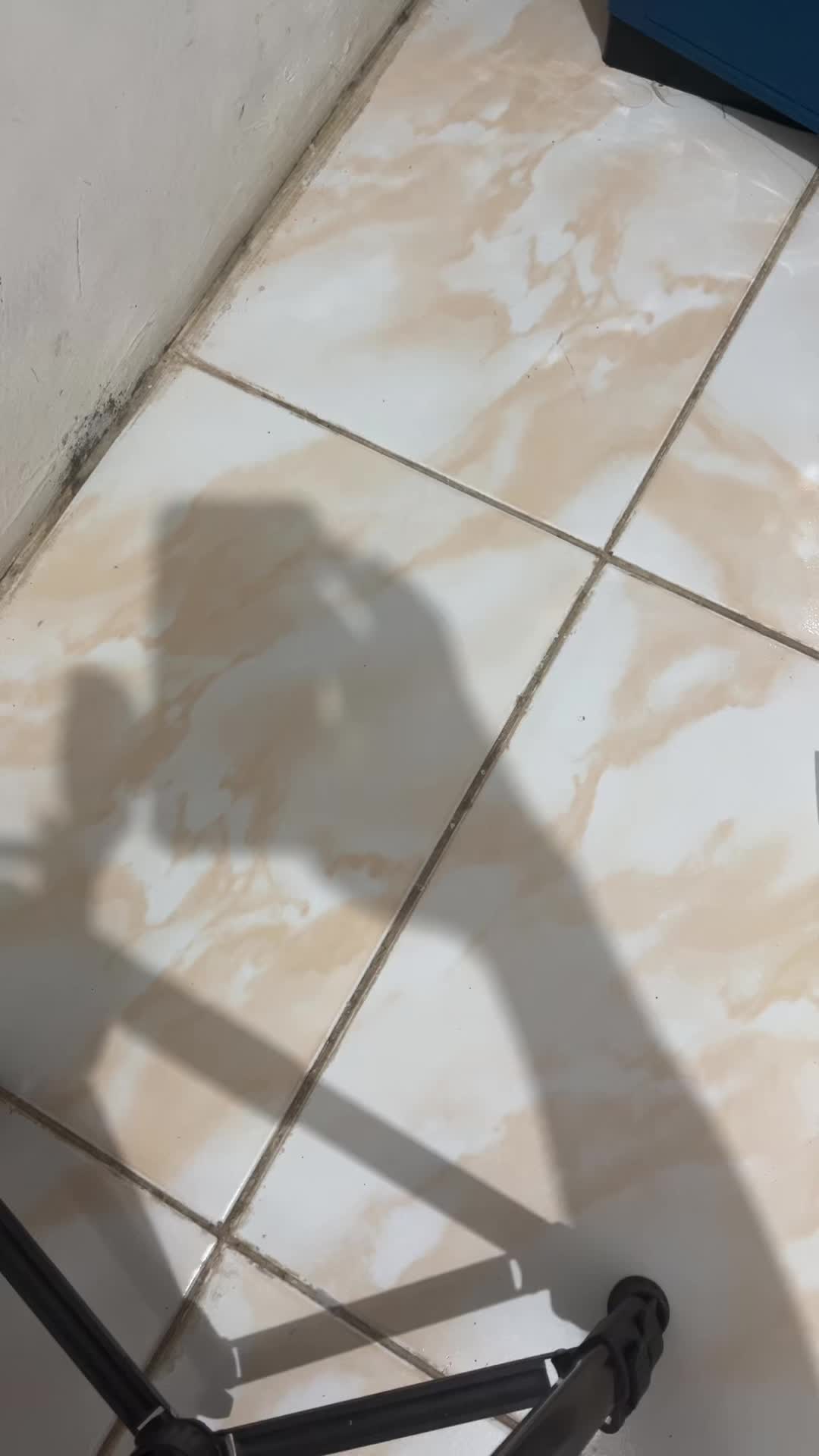 review image 11