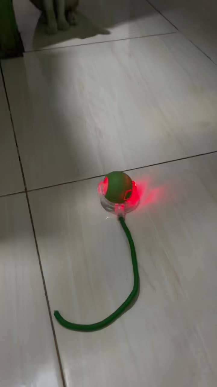 review image 4