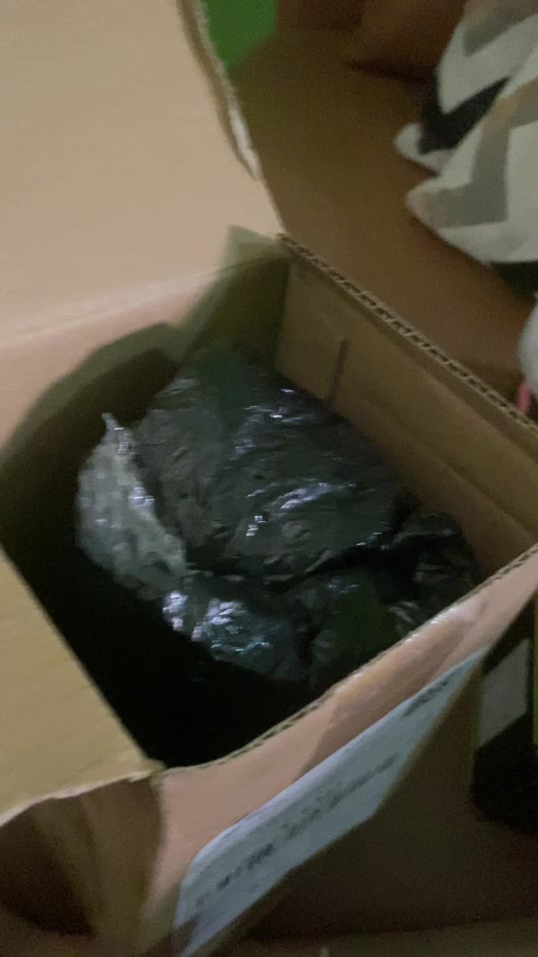 review image 4