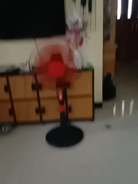 review image 10