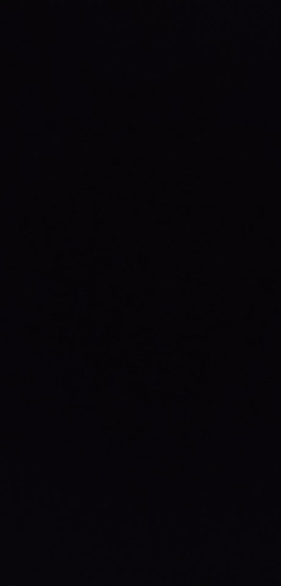 review image 11