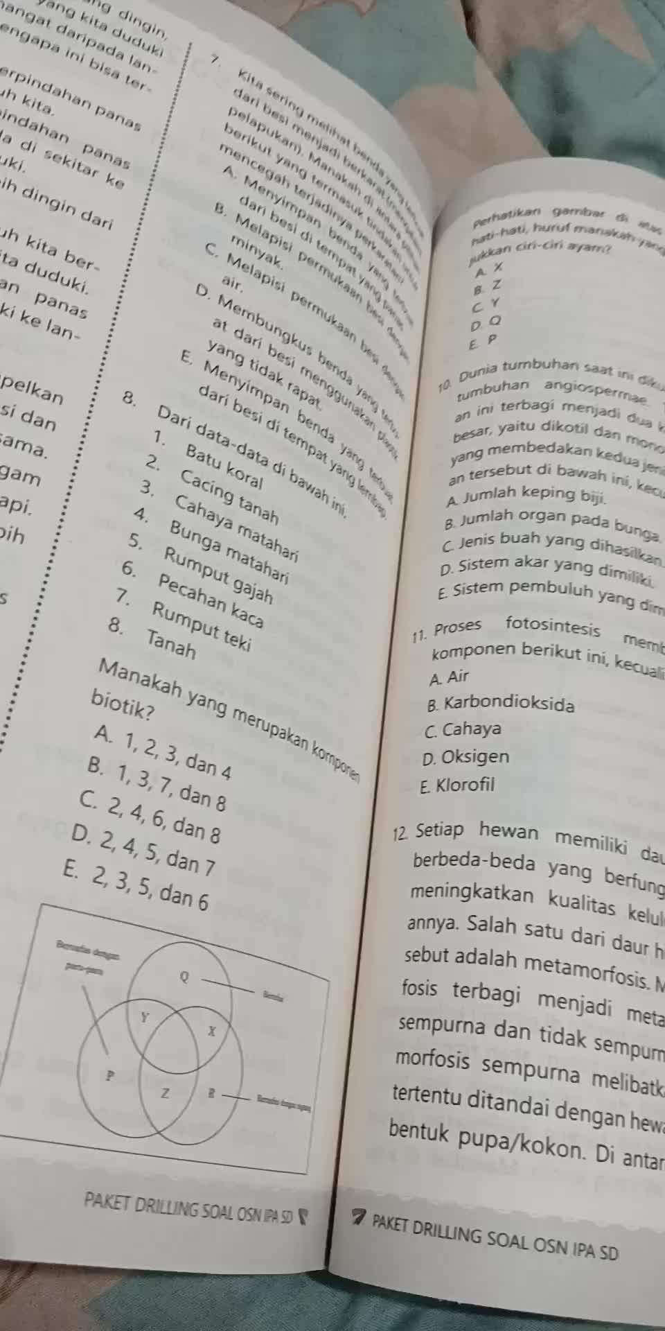 review image 8