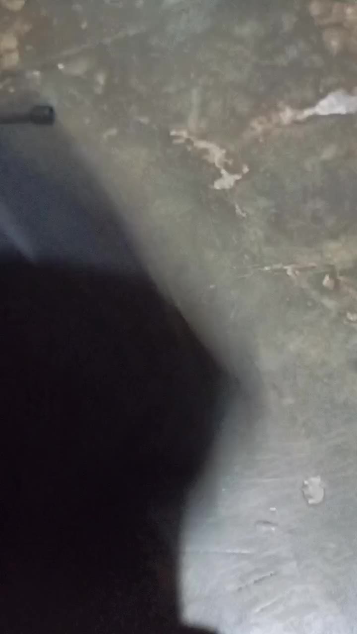 review image 5