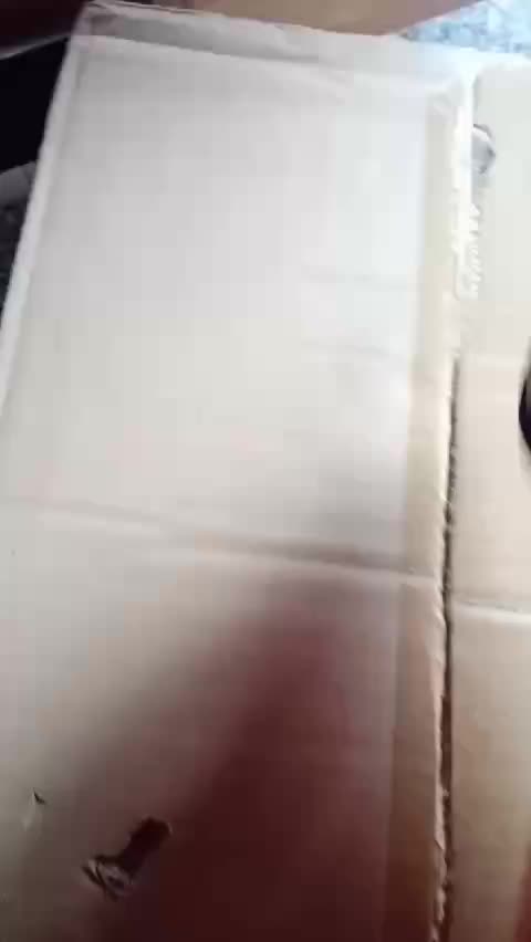 review image 10