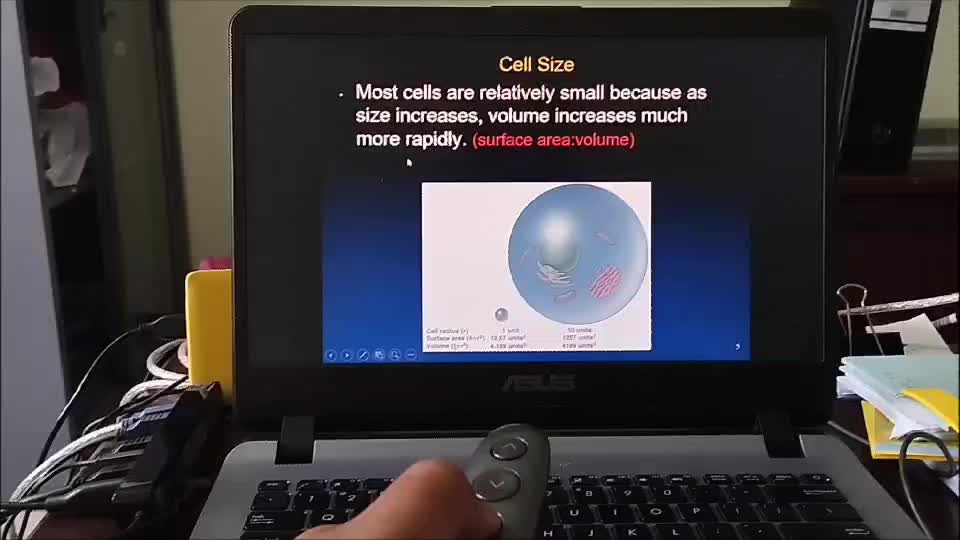 review image 2