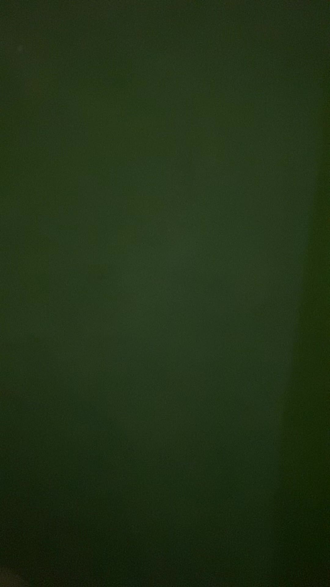 review image 4