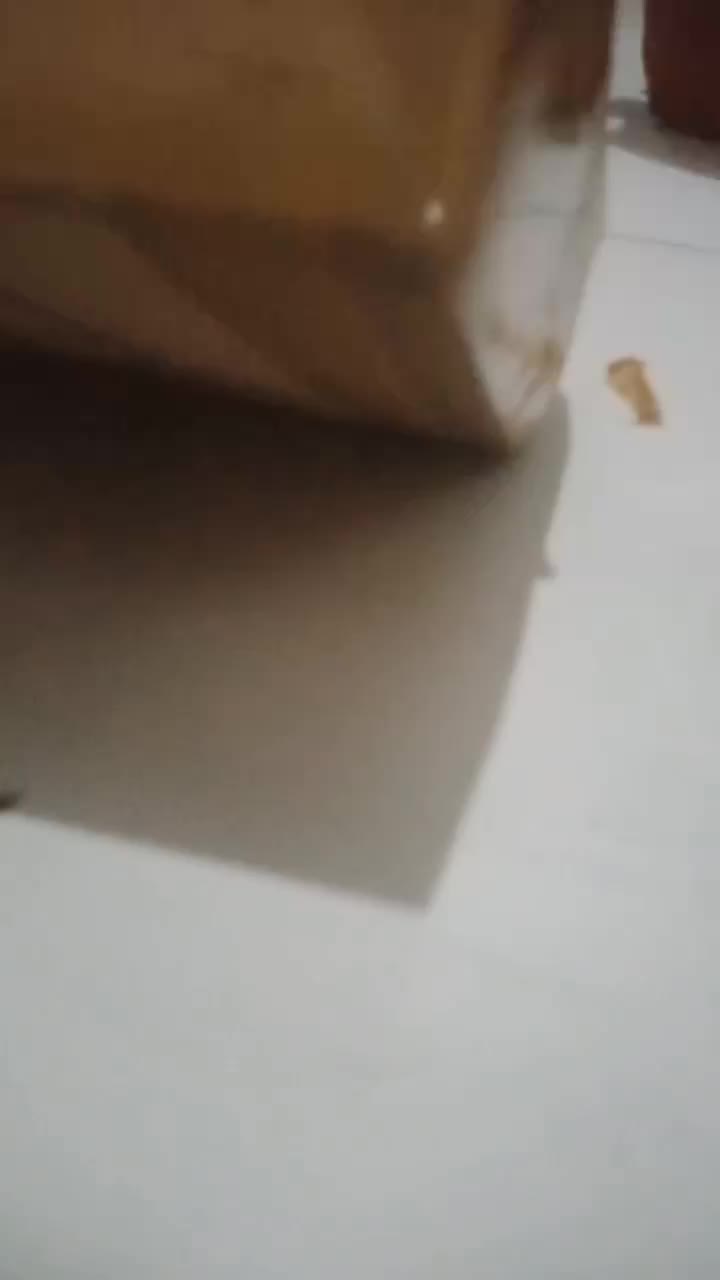 review image 10