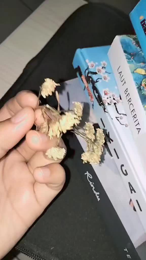 review image 9