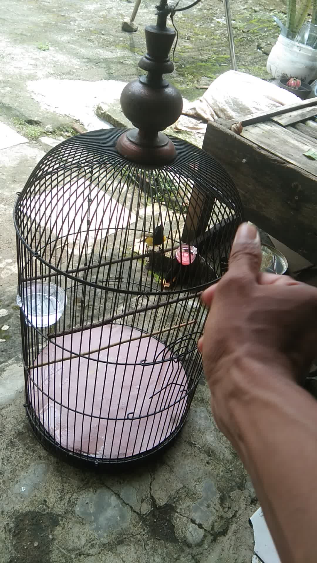 review image 8