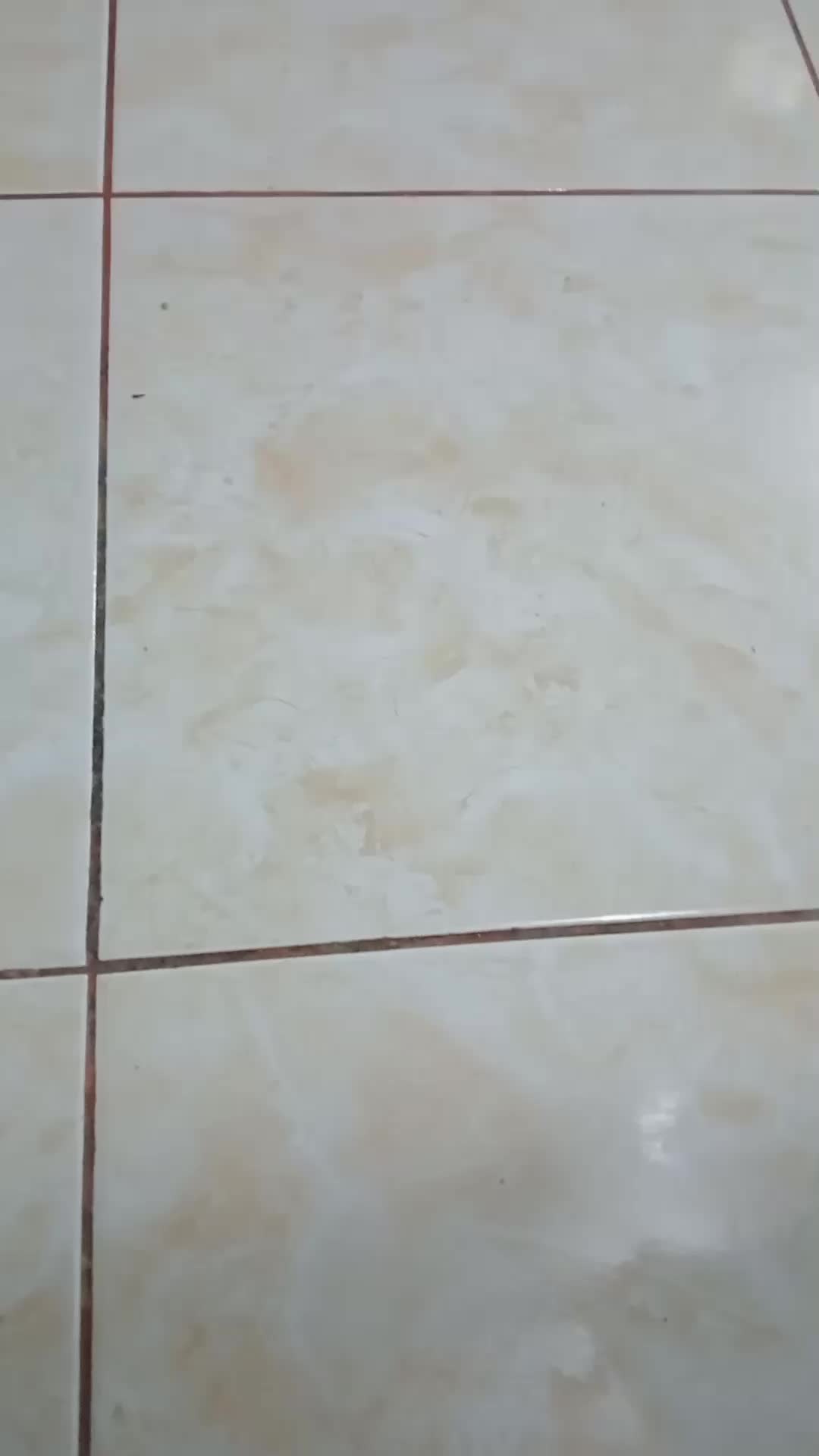 review image 11