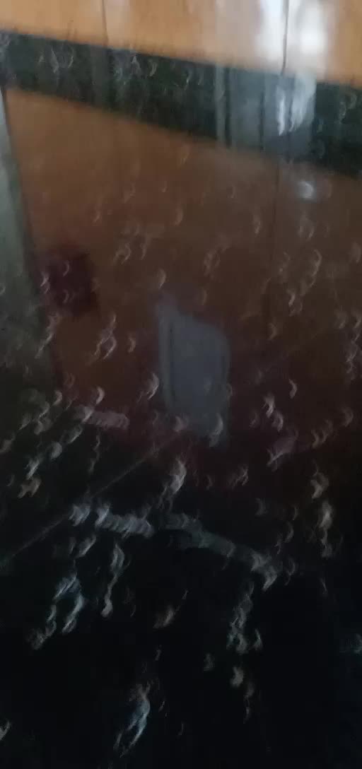 review image 8