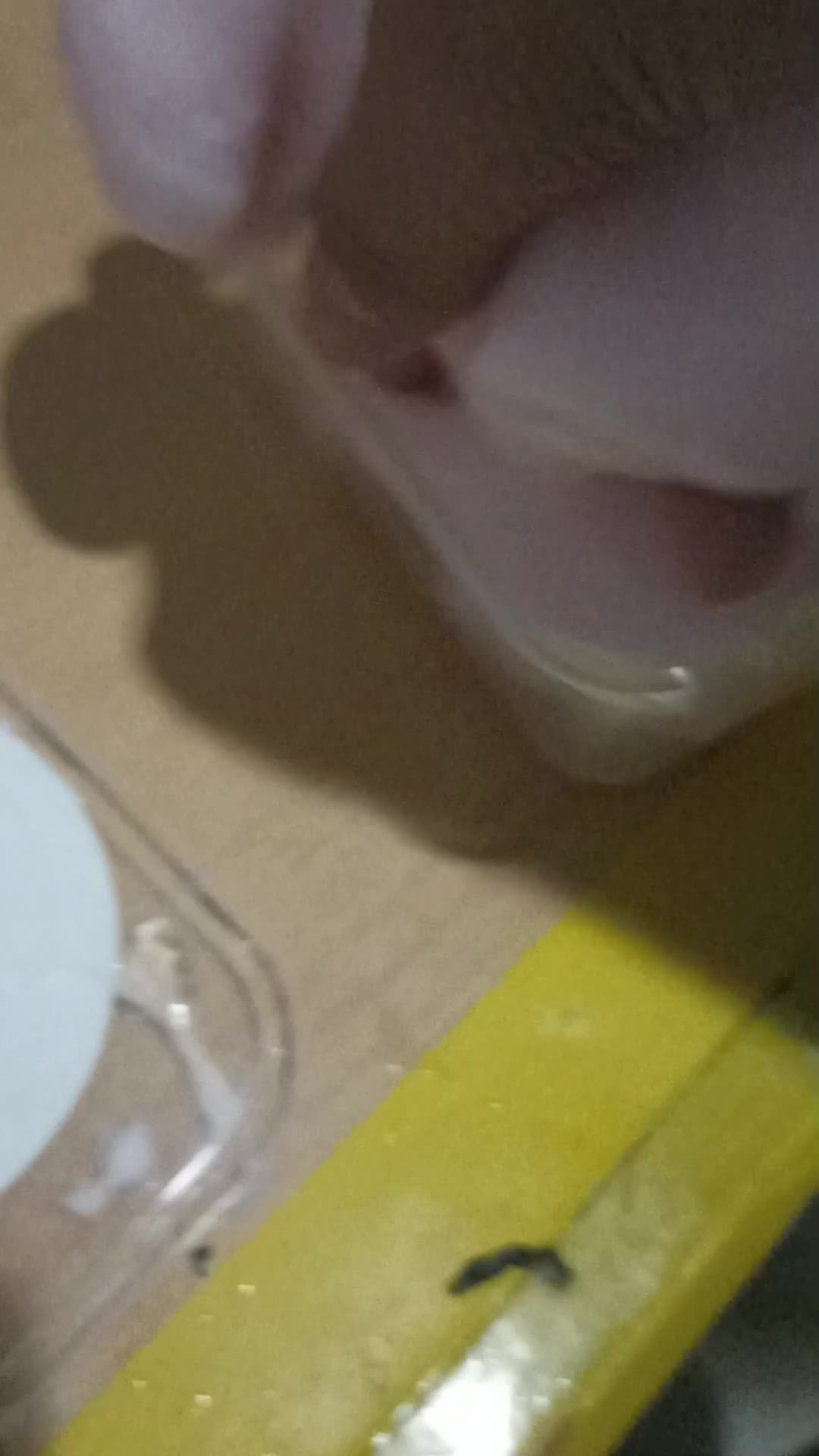 review image 2